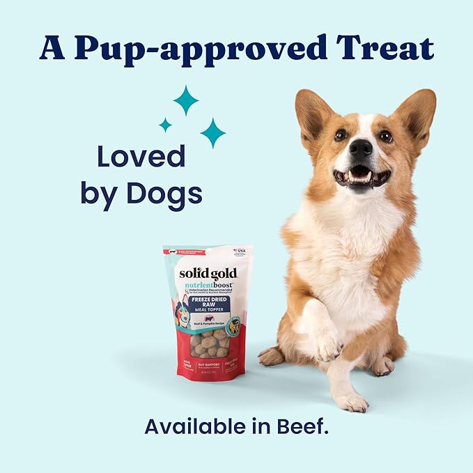 Solid Gold Freeze Dried Dog Food - W/Real Beef, Pumpkin & Superfoods - Freeze Dried Raw Dog Food Toppers for Picky Eaters to Serve as a Nutrient-Dense Meal Topper or High Protein Treats - 5.5oz