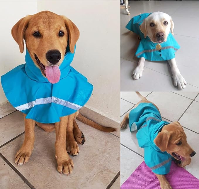 HAPEE Dog Raincoats with Reflective Strip Hoodie,Poncho Jacket for Large Dogs fit Golden Retriever Doodle (C3-Lake Blue, 28B (85-100 lbs))