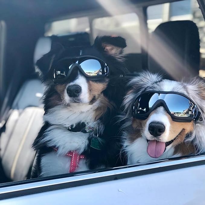 NAMSAN Dog Goggles Medium to Large Breed, Anti-UV Sunglasses for Dogs Large Breeds, Windproof Driving Dog Eye Protection, Doggy Glasses with Elastic Straps, Adjustable, Black