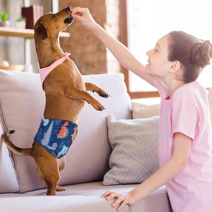 Pet Soft Dog Belly Band - 3 Packs Reusable Dog Diapers Male Doggy Diapers Wraps - Washable Dogs Belly Bands for Male Dogs (Dino, M)
