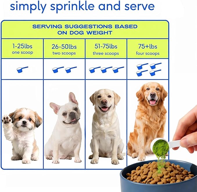 Dog Multivitamin - Pet Vitamins and Supplements 45-in-1 Daily to Support Joint, Immune System, Digestive Health, Skin & Coat with Chondroitin, Omega 3 & Probiotics, 8.8oz