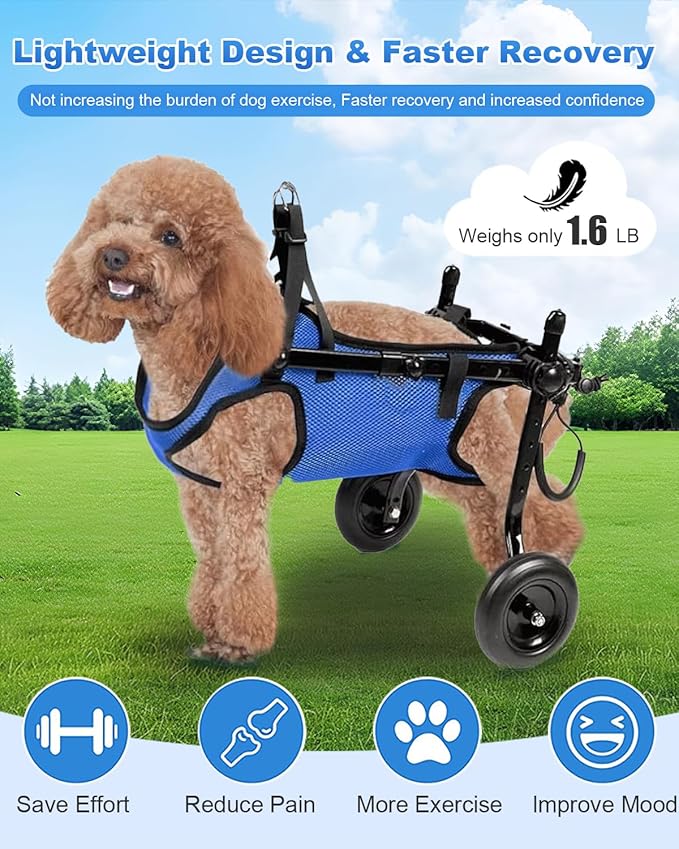 Dog Wheelchair for Back Legs, Cart Doggy Wheelchair with Disabled Hind Legs, Brace and Hip Support, Walking Mobility Aids for Small Pets Hind Limbs Dog Carts with Wheels, Adjustable