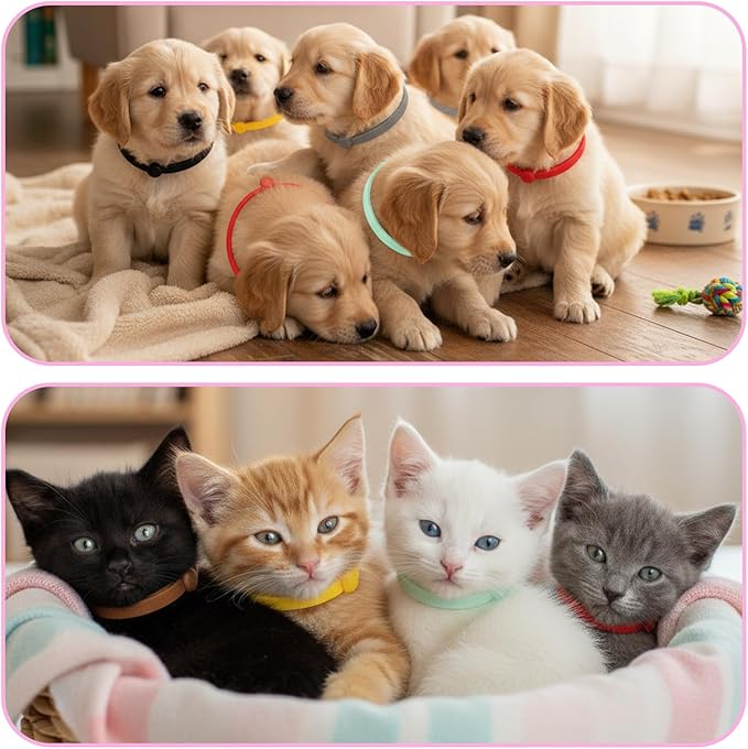 Puppy Collars for Litter, 60 Pcs 4 Inch Elastic Puppy Litter Collars Colored Identification Bands Assorted ID Cords Whelping Collar for Puppies Newborn Kittens New Born Pets,12 Colors