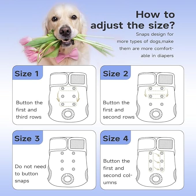 Paw Legend Washable Reusable Female Dog Period Diapers for Heat Doggie Puppy Diapers for Female Dogs (3 Pack, Large)