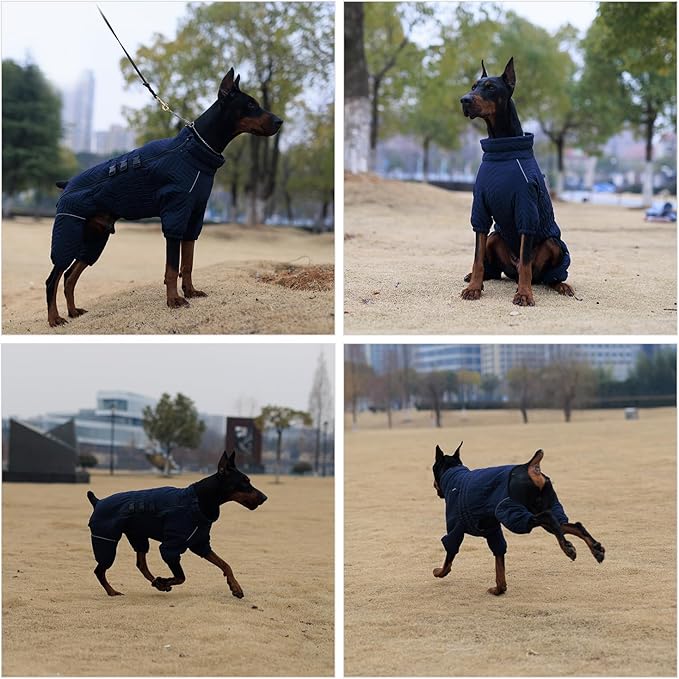 Lovelonglong Warm Dog Coat - Double Layers Vest, 4 Legs Covered Windproof Waterproof Reflective Outdoor Skating Costume for Small Medium Large Dogs, Navyblue S