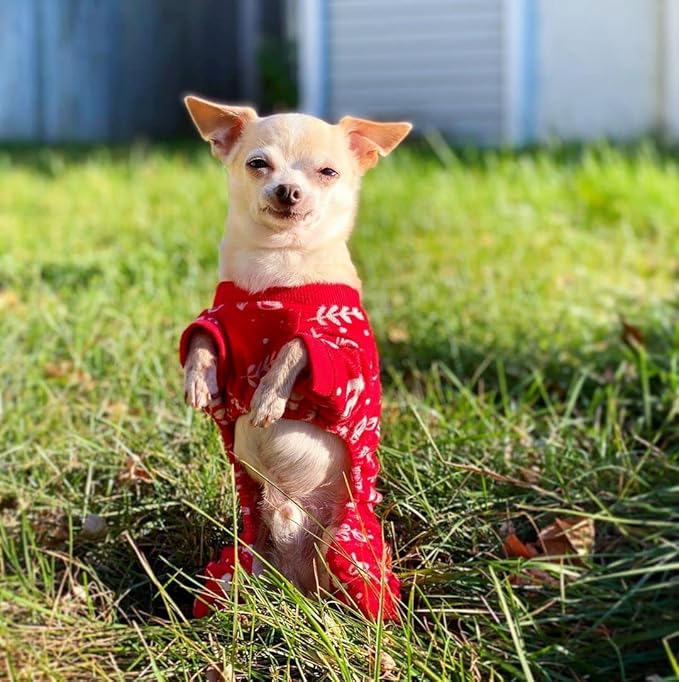 CuteBone Soft & Stretchy Christmas Dog Pajamas - Cozy Pet Jammies Breathable Jumpsuit for Small Dogs - All-Season Comfy Outfit Easy-On Pullover Design - Keeps Pets Warm & Comfortable P18M