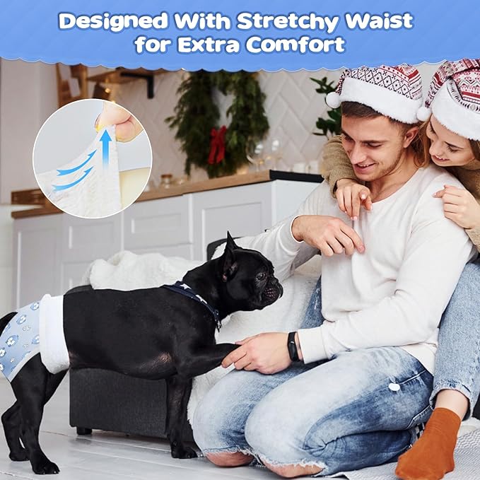 Ambreview Dog Diapers Female, Disposable Pulled Up Dog Diaper with Stretchy Waist, Super Absorbent 360° Leak-Proof Doggie Diapers for Female Puppy Dogs in Heat/Urinary Incontinence (10S)