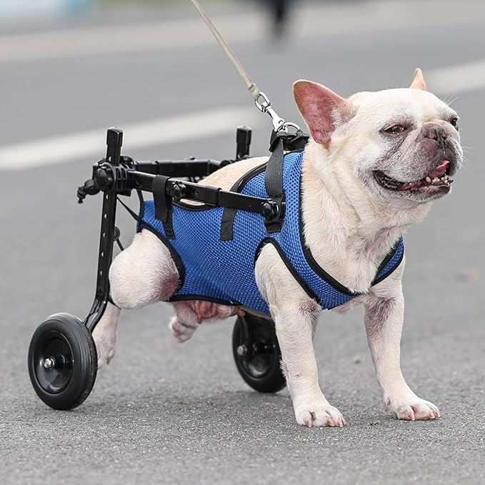 Adjustable Small Dog Wheelchair - Mobility Aid for Disabled Pets,Small Dog Wheelchair for Back Legs， Leg Brace & Hip Support - 8-20 lbs (Extra Small)