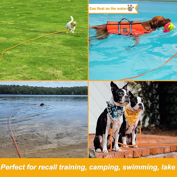 Vivifying Long Dog Leash, 32ft Reflective Dog Training Leash for Outside and Yard, Floating Long Line Lead with Soft Handle for Camping, Hiking, Swimming, Beach and Lake (Orange)