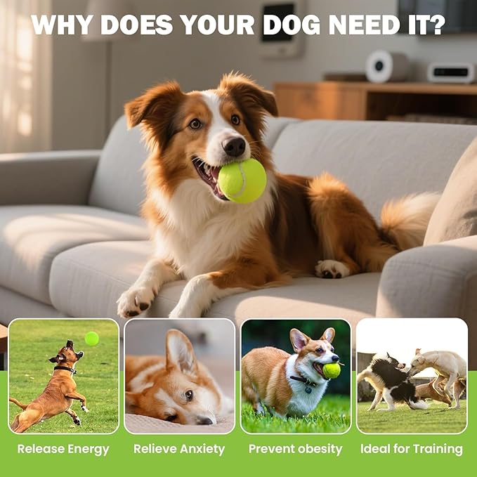Tennis Balls for Dogs 16 Pack,2.5 inches,Durable and Non-Toxic Dog Toys Balls with Mesh Bag,Yellow Fetch Toys Balls for pet Dog (Non Squeaky)