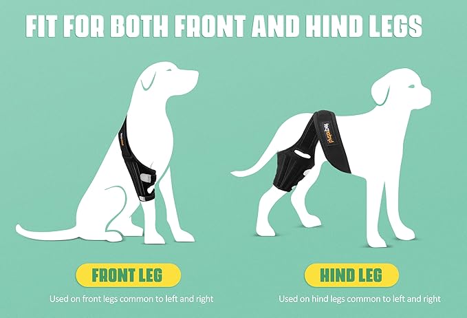 Dog Knee Brace for Torn ACL Hind Leg, Rear Leg Cruciate Ligament Braces for Dogs, Strong Support to Reduce Joint Pain and Muscle Sore, with Side Stabilizers for Back Leg XXSmall
