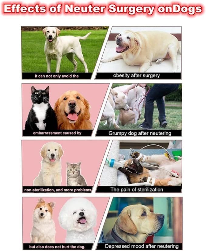 Male Dog Simulation Mating Toy, for Male Estrus Dog Small Dogs Plush Dog Toy, Anxiety Relief Dogs Toy Gift for Dog Lovers,White,18cm