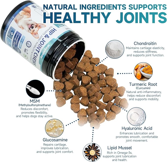 Hip and Joint Supplement for Dogs, Glucosamine for Dog Joint Supplement, 200 Soft Chews with Glucosamine, Chondroitin and MSM Dog Hip and Joint Supplement for All Ages and Breeds, Chicken Flavor