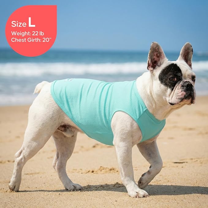 KYEESE 2Pack Dog Cooling Shirt, Breathable Dog Shirt for Small Medium Dogs, Sun Protection Dogs Cooling Vest Tank Top, Lightweight Soft Sleeveless Summer Pet Clothes, Duck+Blue, XL