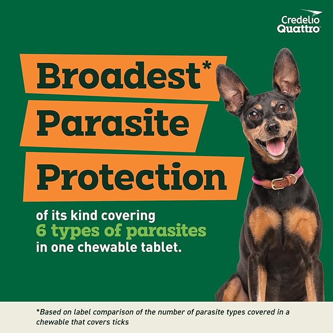 Credelio Quattro Dog Flea & Tick Treatment + Heartworm & Parasite Protection, 6.1-12 lbs (1 Chewable Tablet)