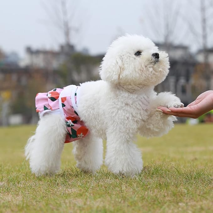 Reusable Dog Diapers Female 3 Pack Washable Premium Highly Absorbent Doggie Diapers, Flexible Puppy Diapers, Durable Leak-Proof Fruit Dog Diapers for Period Heat Incontinence Puppy Training, S