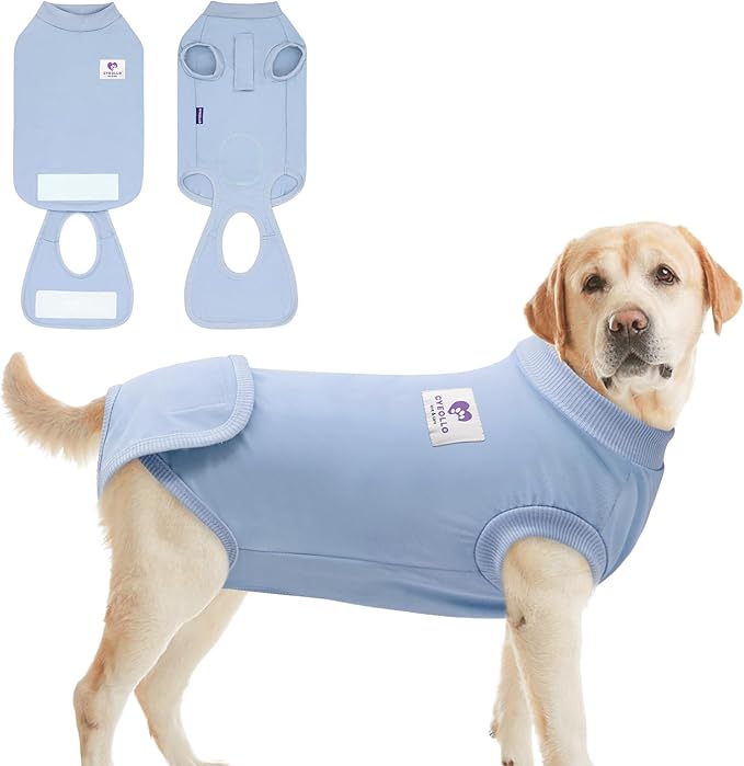 cyeollo Dog Surgery Recovery Suit Soft Breathable Female Male Pet Bodysuit for Spay, Neuter, Surgical Recovery Shirt for Small Medium Large Dogs, Blue, XXL