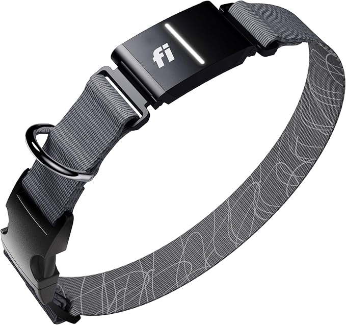 New Fi Series 3+ Smart Dog Tracker Collar [6 Month Membership Included] GPS Tracker for Dogs with Health & Behavior Monitoring, Escape Alerts, Waterproof, LED, Apple Watch Compatible (Gray, X-Large)