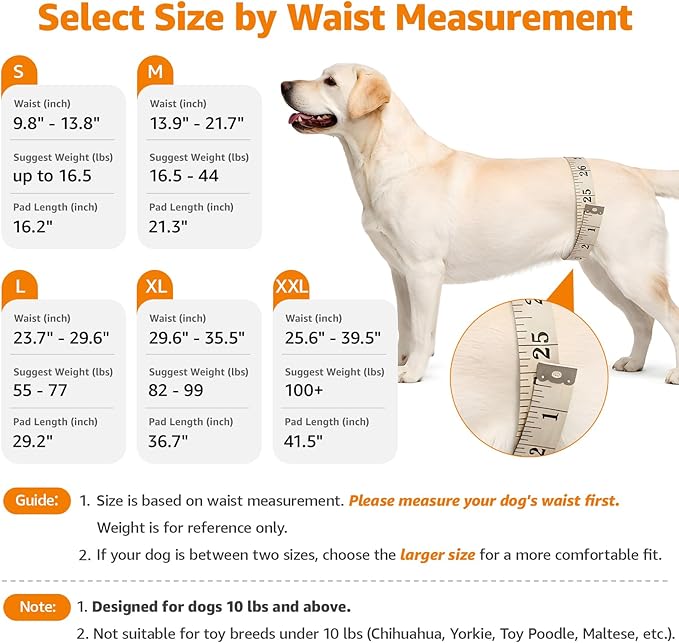 LOOBANI Dog Sling for Large Dogs Hind Leg Support, Portable Dog Lift Harness for Back Legs, Comfortable Leg Support Assistance for Elderly Dogs with Hip, ACL Brace, Senior, Injured