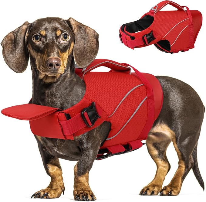 Queenmore Dog Life Jackets, Dog Life Vest for Swimming Medium, Ripstop Pet Lifesaver with Rescue Handle, High Visibility Flotation Vest, Pet Pool Float (Red,M)