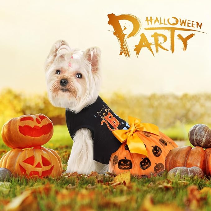Idepet Dog Dress Halloween, Holiday Puppy Skirt Cute Boo Dog Costume Funny Pumpkin Print Pet Apparel Dog Clothes for Small Dogs Girls and Cats (X-Small)