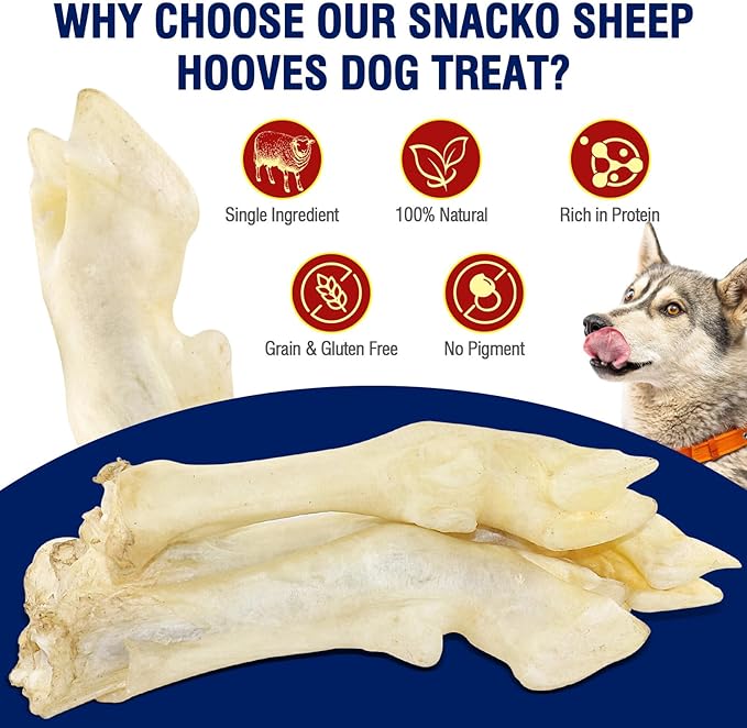 Sheep Hooves for Dogs to Chew Dehydrated Treats Lamb Trotters Single Ingredient Puppy Chew Sticks Bone Organic Training Low Fat A