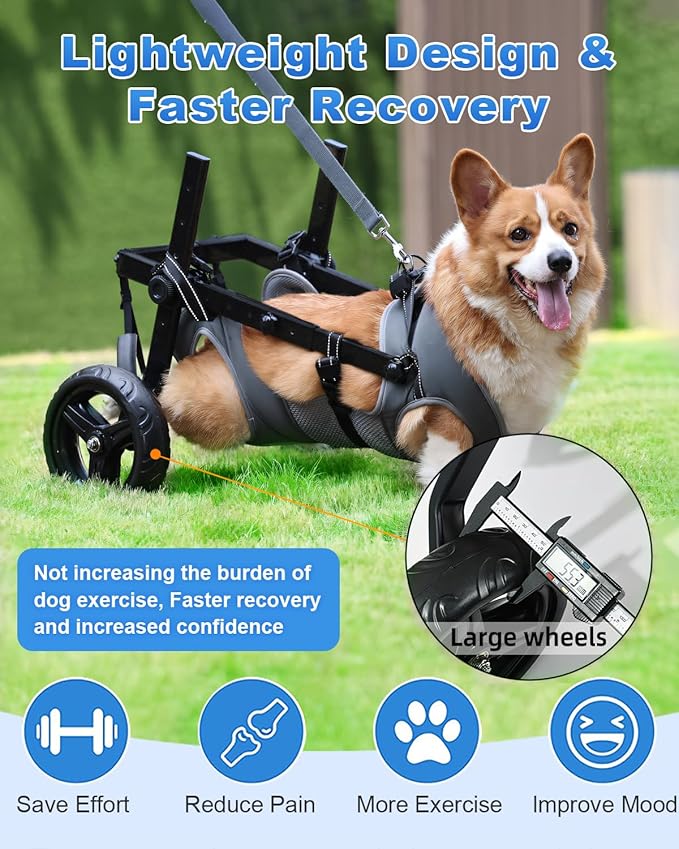 Large Dog Wheelchair for Hind Legs-Durable All-Terrain Wheels, Heavy Duty Aluminum Frame, Comfortable Breathable Mesh for Dogs, Hip Support System, Restores Mobility for Arthritis & Injuries