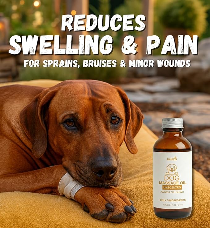 KELEBS Dog Arnica Massage Oil | Pain Relief for Muscles, Arthritis, HIPS, and Joints | for Active & Senior Dogs | Organic Arnica-Infused Oil Blend – Only 5 Ingredients | Glass Bottle (2 Pack)