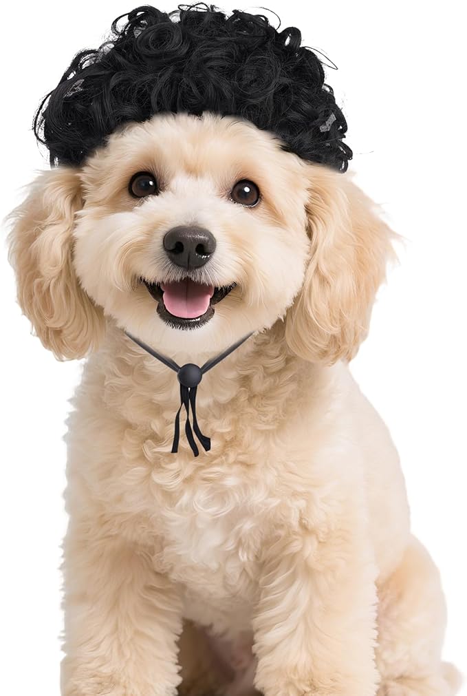 1 Pcs Funny Pets Wigs for Dog, Funny Black Curly Dog Wig Adjustable Pet Wigs for Halloween Pet Costume Accessories for Halloween, Christmas, Parties, Festivals Cosplay