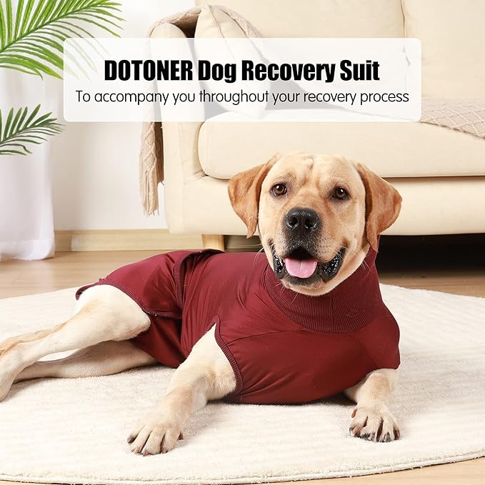 HEYWEAN Full Body Dog Diaper with a Puppy Nappies Physiological Dog Surgery Recovery Suit for Male Female Dogs