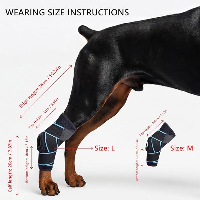 Dog Knee Brace for Back Leg, ACL Support for Large Dogs, Adjustable Dog Leg Brace for Hind Leg Injuries, Canine Joint Wrap for Arthritis Recovery (M)