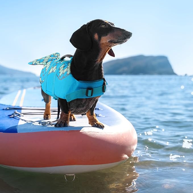 Queenmore Mermaid Dog Life Jacket - Lightweight Dog Swimming Vest, High Buoyant, Blue, XL