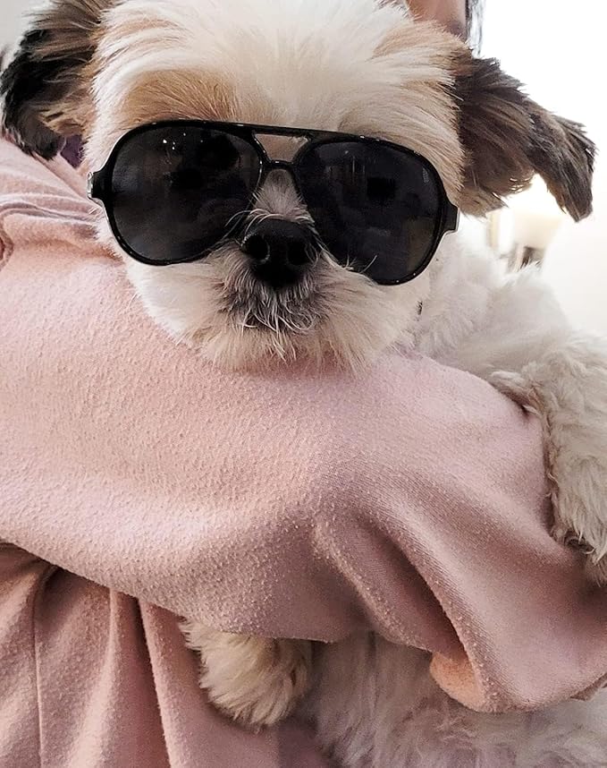 G029 Dog Cat Pet Aviator Pilot Sunglasses Glasses for Small Breeds up to 15lbs (2-Pack Black + Black-Clear Lens)