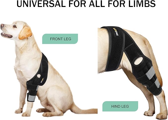 Dog Knee Brace for Torn ACL Hind Leg, Dog Braces for Back Leg for Dogs Luxating Patella, Metal Spring Strong Support and Flexible Joint Care, Stay-on Dog Leg Braces for Rear Leg (XXL)