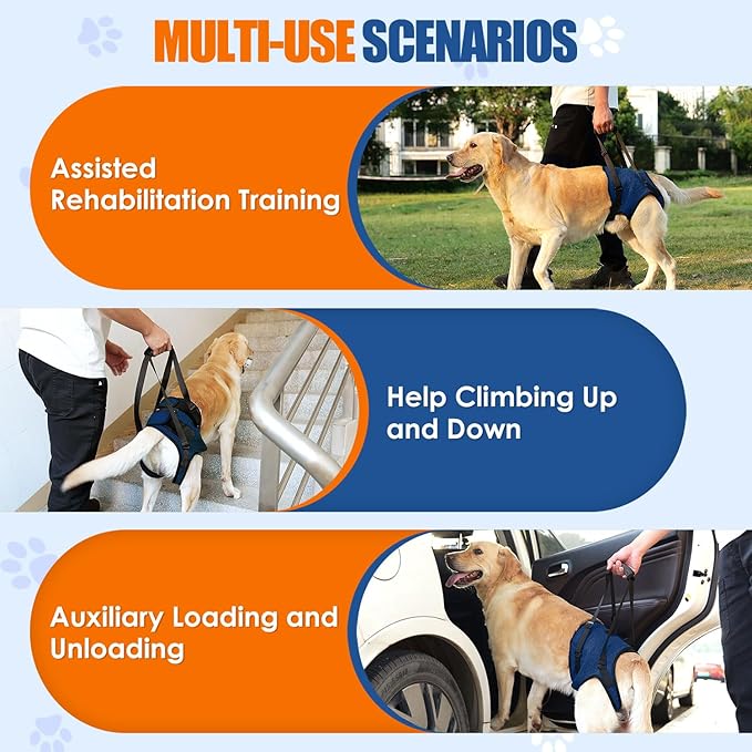 SlowTon Dog Lift Harness - Adjustable Dog Sling for Medium Large Dogs, Hind Leg Support to Help Rehabilitate, Soft Padded Dog Support Harness for Elderly, Injured, Arthritic, Disabled Dogs(BL,L)