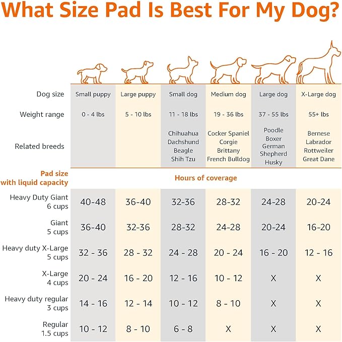 Amazon Basics Scented Dog and Puppy Potty Training Pee Pads, 5-Layer Leak-Proof Super Absorbent with Quick-Dry Surface, Regular Size 22 x 22 Inch, Blue & White, 100 Count