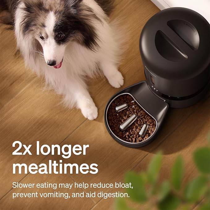 PETLIBRO Automatic Dog Feeder with Camera, Auto Cat Food Dispenser Slow Feeders Dogs Bowl, 1080P HD Video with Night Vision, 5G WiFi with 2-Way Audio, Stainless Steel Slow Food Tray