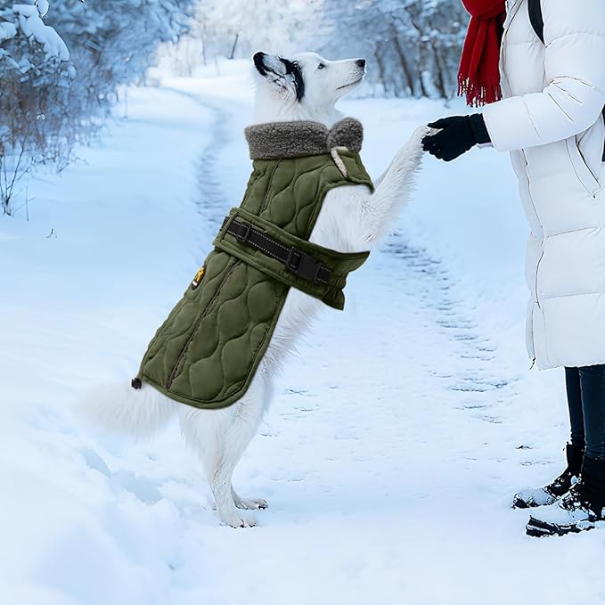 Dog Winter Coat, Adjustable Quilted Dog Snow Jacket with Fleece Lining, Water Resistant Pet Apparel for Cold Weather, Warm Large Doggie Coat with Leash Hole and Reflective Strip, NewGreen L