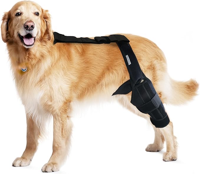 Dog Knee Brace for Hind & Rear Legs – Canine Leg Support for ACL, CCL, and Cruciate Ligament Injuries, Arthritis, and Post-Surgery Recovery – Adjustable, Durable, Black, Size XXL