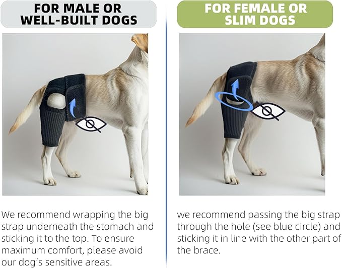Dog Hip Brace, Knee & Leg Support Brace for ACL Recovery, Ligament Injury - Breathable & Adjustable Dog Leg Brace for Senior Dogs, Post-Surgery Rehabilitation & Mobility Aid(Size XL)
