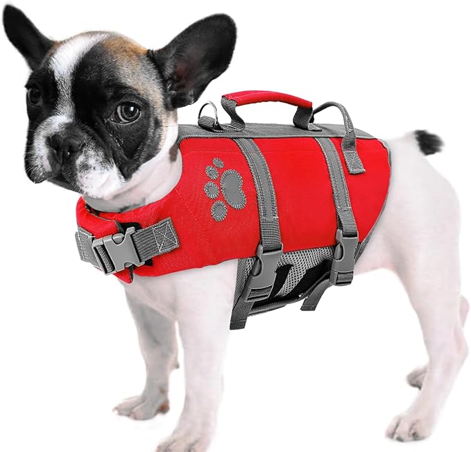 Queenmore XS Dog Life Jacket, Puppy Life Jackets for Small Dogs, Shark Dog Life Vest for Swimming, Lightweight Extra Small Dog Life Vest with Handle Adjustable Pet Life Vest for Boating, Cat Lifevest