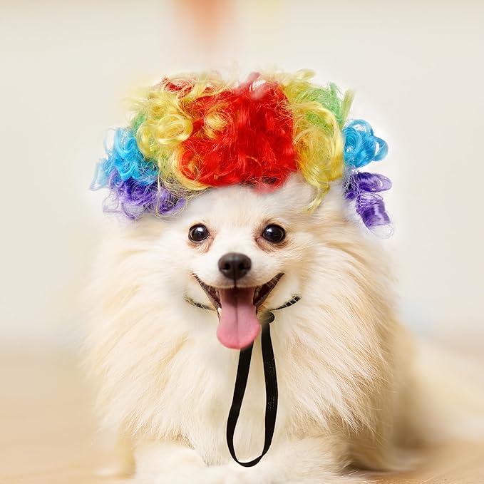 1pcs Funny Pets Wigs for Dog, Funny Rainbow Curly Dog Wig Adjustable Pet Wigs for Halloween Pet Cat Decoration Accessories for Halloween, Christmas, Parties Cosplay