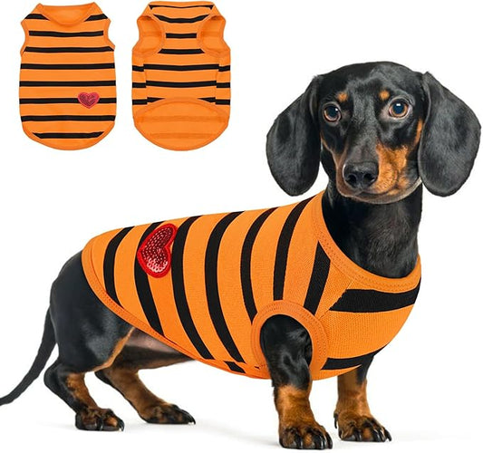 Queenmore Small Dog Shirt,Soft Breathable Dog Shirt for Dogs Cats Boy Girl,Pet Clothes for All Season,Breathable Lightweight Pet Tshirt for Frenchie, Dachshund, Yorkie