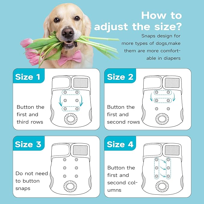Paw Legend Washable Reusable Female Dog Period Diapers for Heat Doggie Puppy Diapers for Female Dogs (3 Pack, Small)