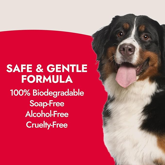 Kong Exfoliating Face Wash for Dogs – Gentle Cleanser, Removes Tear Stains & Odors, Blueberry Scent, 16 fl oz – Biodegradable, Hypoallergenic, Soap-Free, Cruelty-Free, for Sensitive Skin, Made in USA