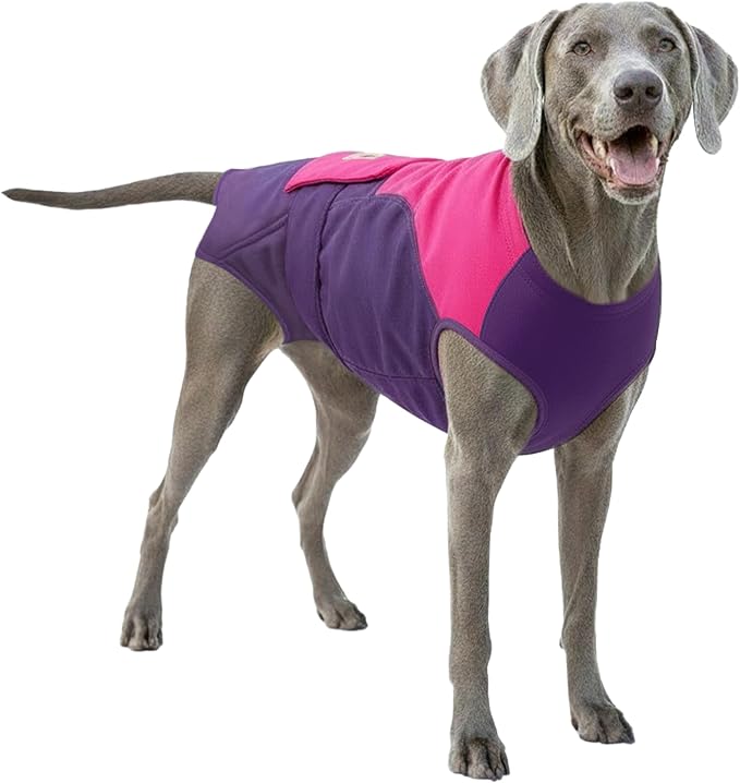 Dog Onesie for Dog Diapers Female or Male Dogs with American Textile to Keep Pets Safe - Wrap Around Legs for Superior Fit - Fits (2XL-S - PP)