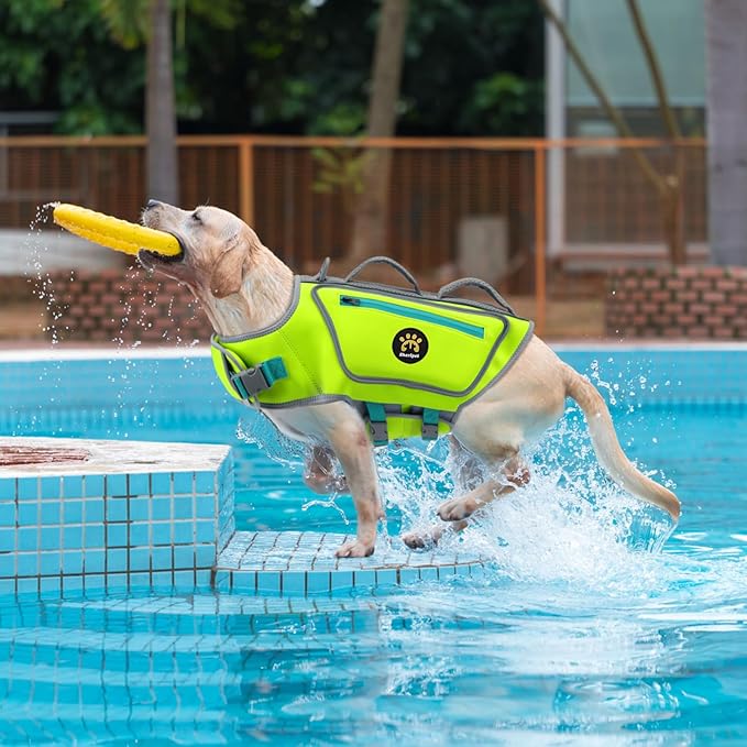 Dog Life Vests for Swimming, High Visibility Dog Life Jacket Lightweight Adjustable Reflective Dogs SwimVest for Boating, High Floating Pet Lifepreserver with Rescue Handle (Green, XL)