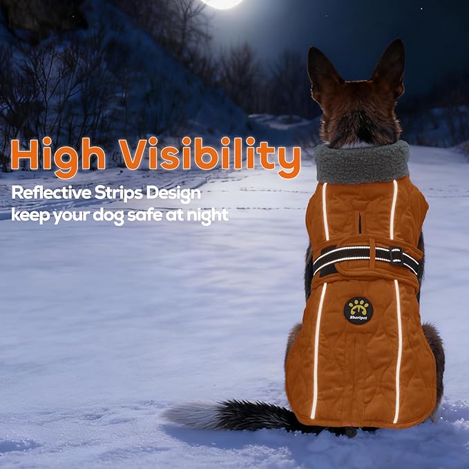 Dog Coats, Warm Puppy Apparel with Fleece Lining for Cold Weather, Windproof Medium Dog Winter Jacket, Reflective Dogs Snow Coat with Leash Hole and Adjustable Buckle, NewOrange M