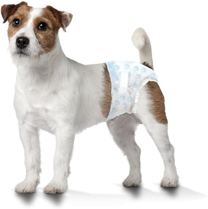 Four Paws Wee-Wee Super Absorbent Disposable Adjustable Dog Potty Training Diapers, Leak-Proof Protection for Dogs, Size Small, 12" - 15" Waist, 36 Count