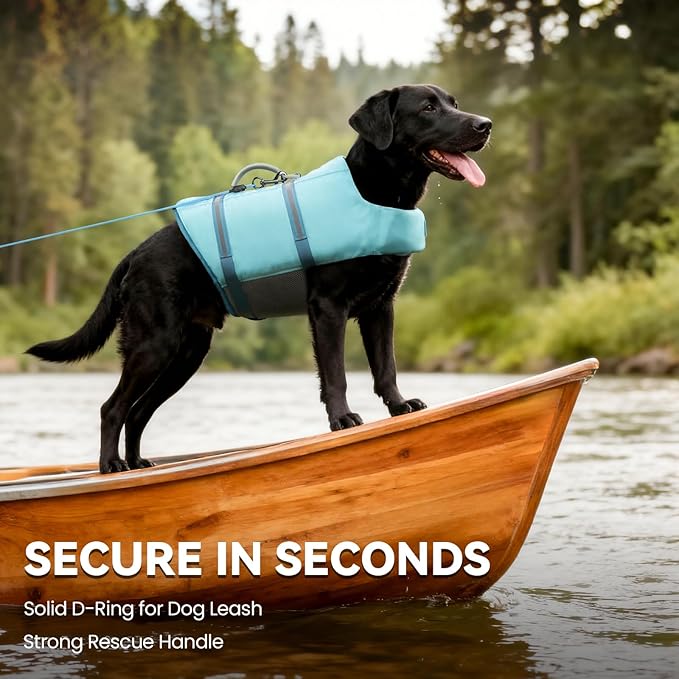 VIVAGLORY Rip Stop Dog Life Vest, Swimming Vest with Handle, Buoyancy for Doggy Puppy, Dog Life Jacket for Swimming & Boating, XS, Cyan